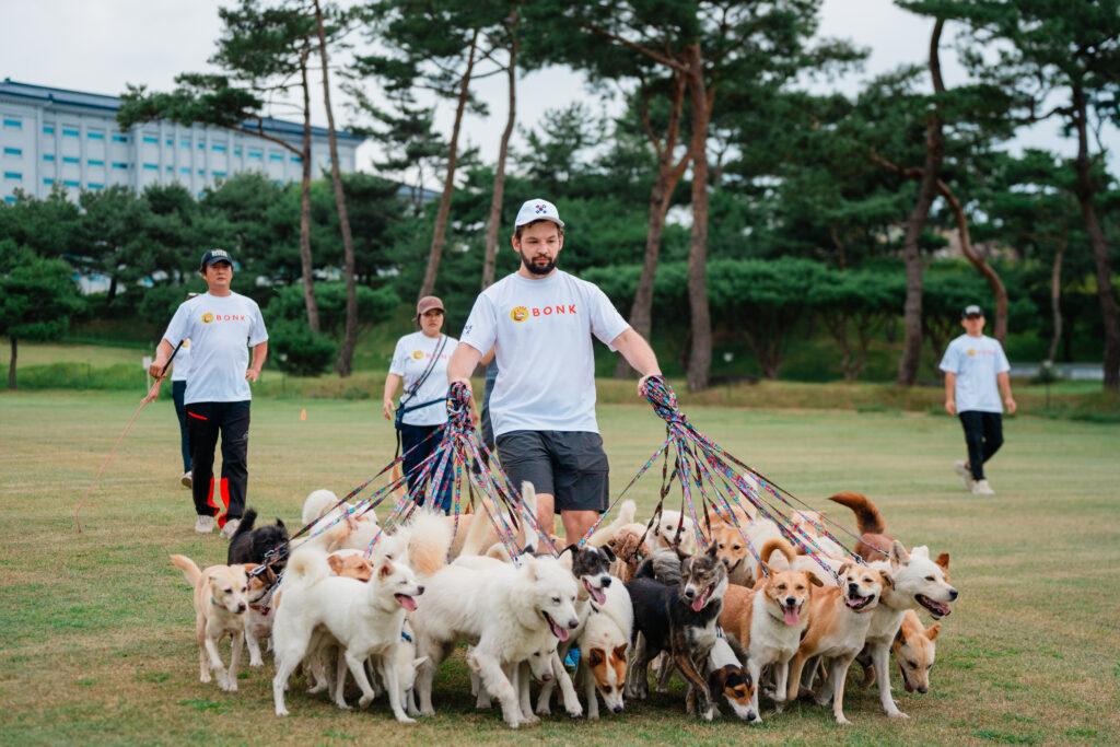 Largest dog walk Guinness world record 