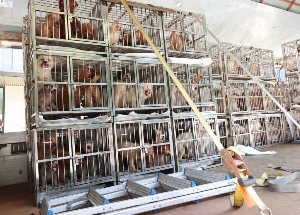 Update: Prosecution of the Mars Puppy Mill Operators 